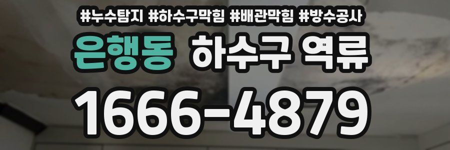 은행동 하수구 역류