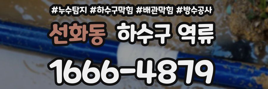 선화동 하수구 역류