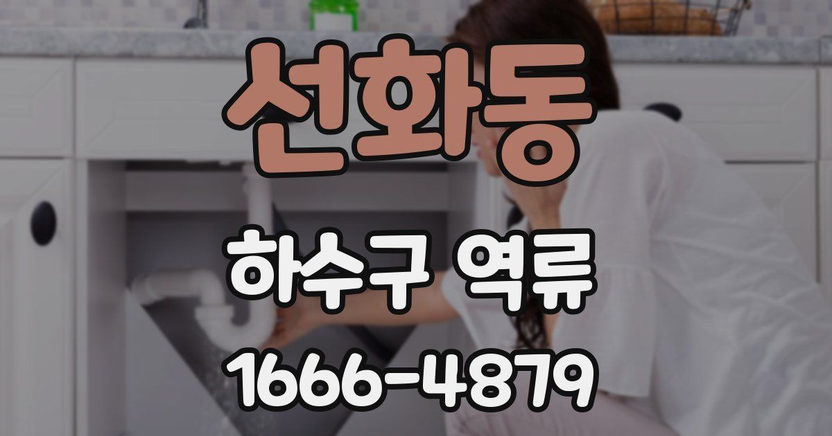 선화동 하수구 역류