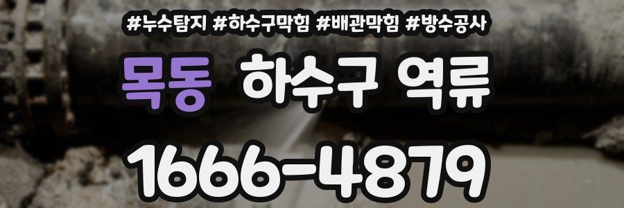 목동 하수구 역류