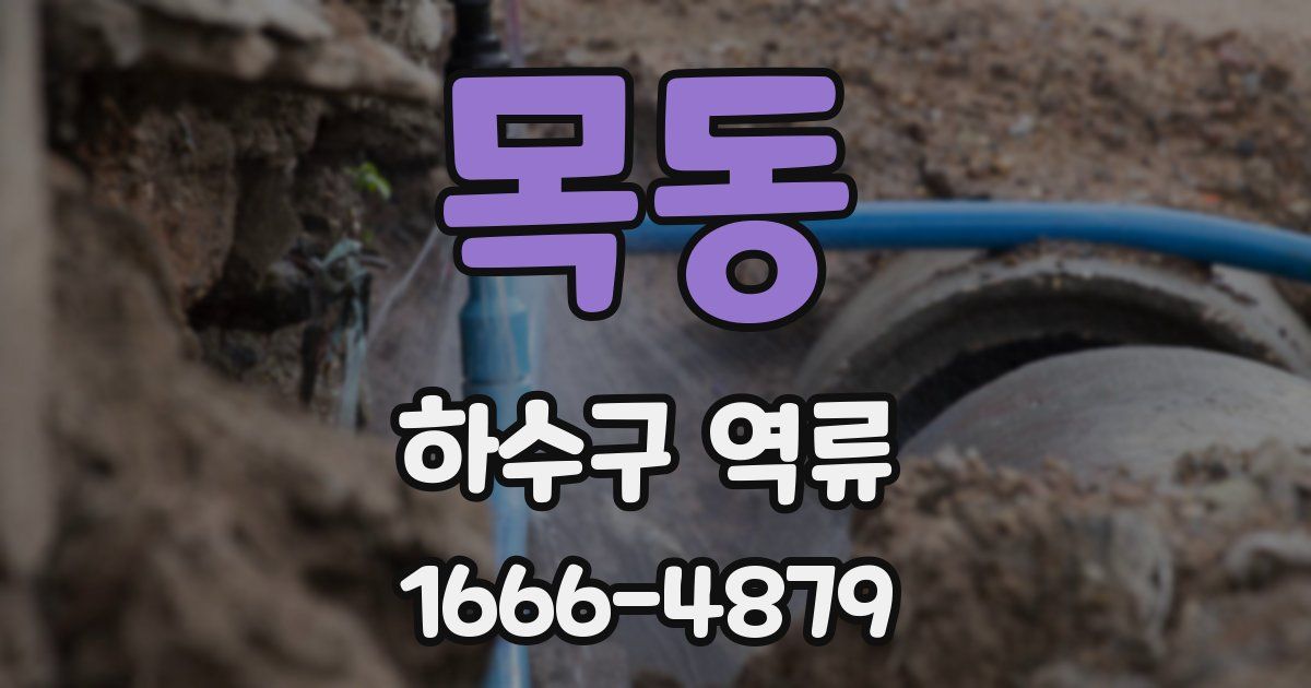 목동 하수구 역류