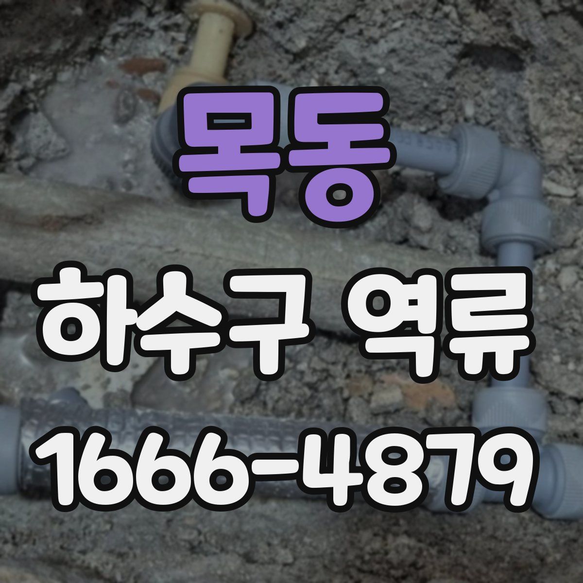 목동 하수구 역류