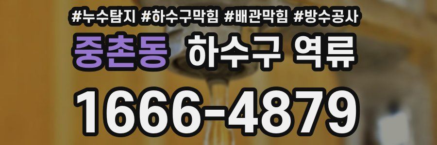 중촌동 하수구 역류