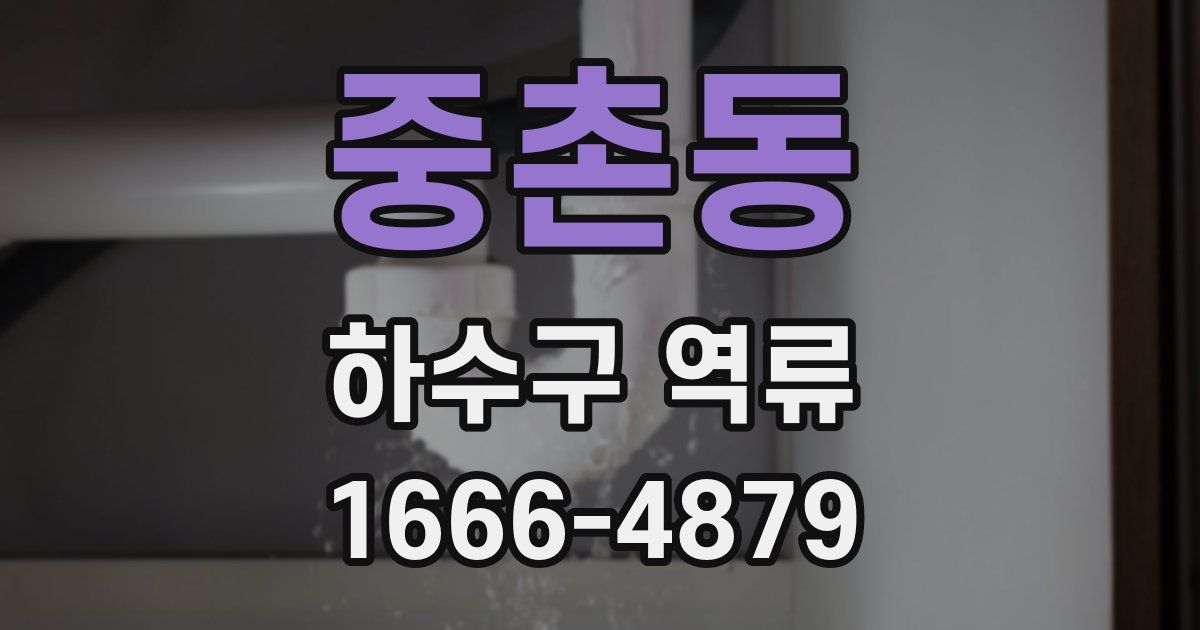 중촌동 하수구 역류