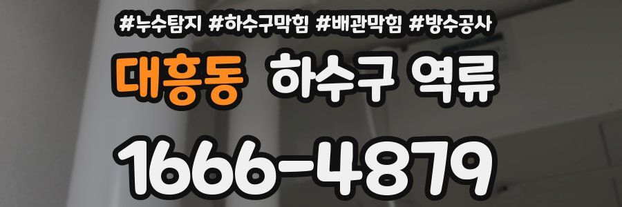 대흥동 하수구 역류