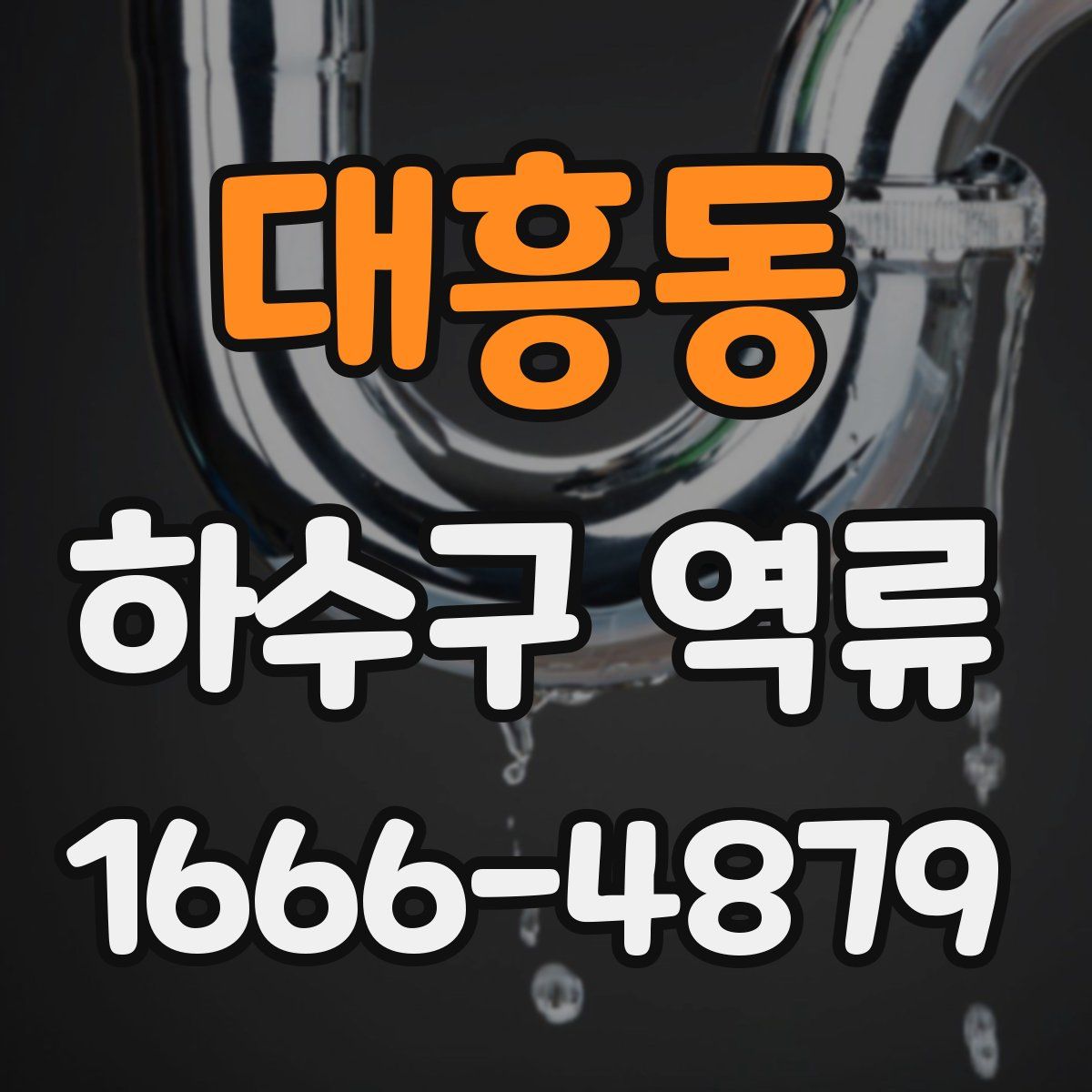 대흥동 하수구 역류