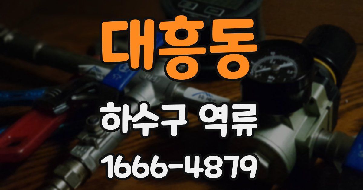 대흥동 하수구 역류