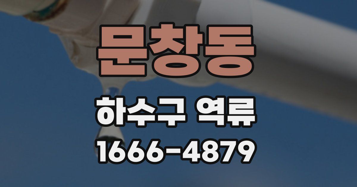 문창동 하수구 역류