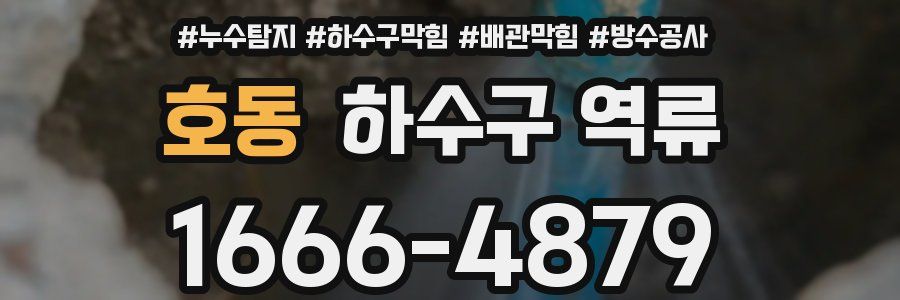 호동 하수구 역류