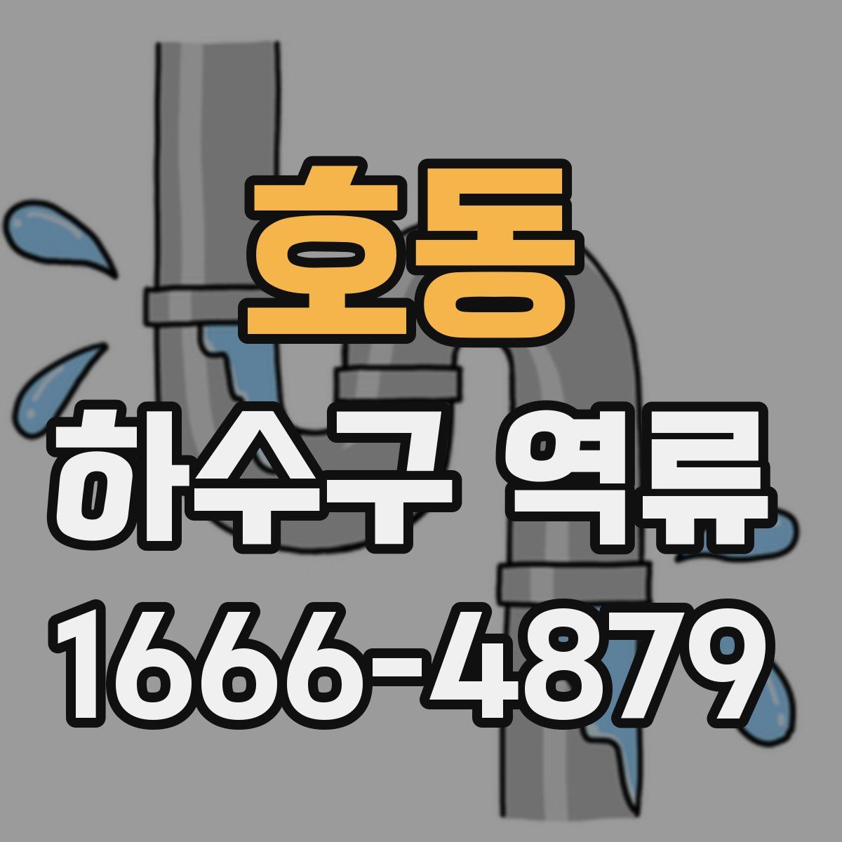 호동 하수구 역류