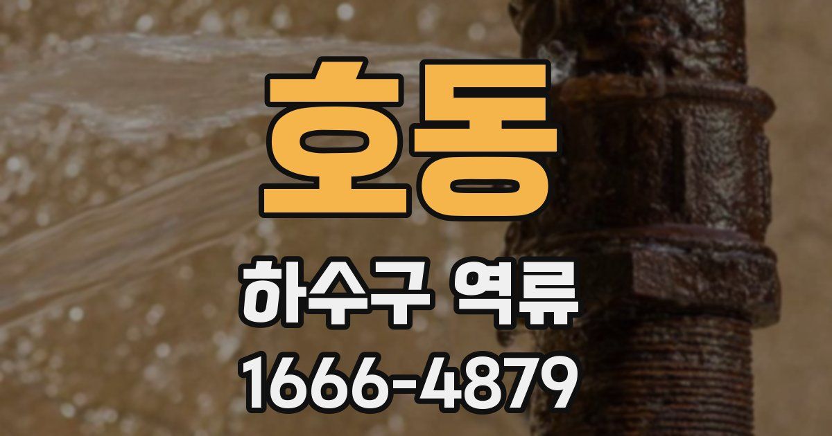 호동 하수구 역류