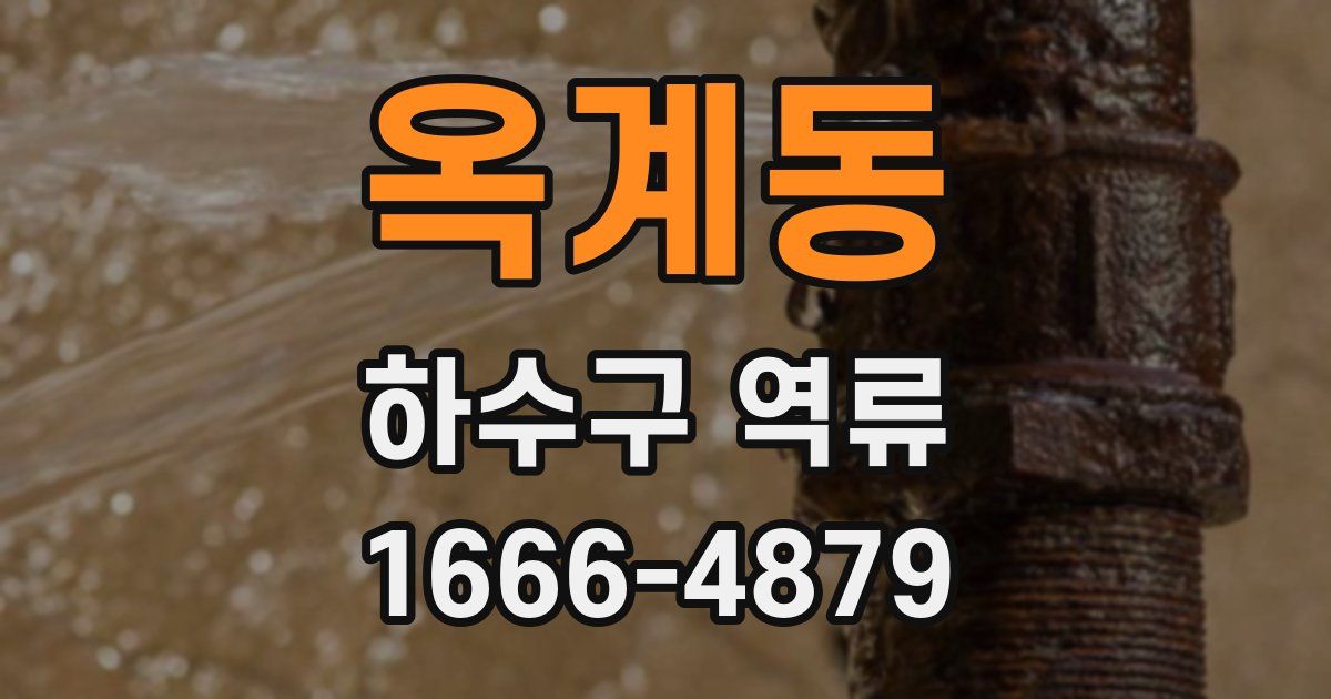 옥계동 하수구 역류