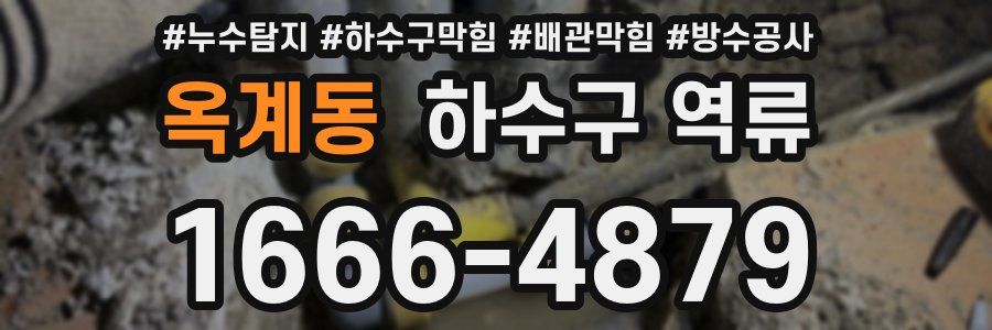 옥계동 하수구 역류
