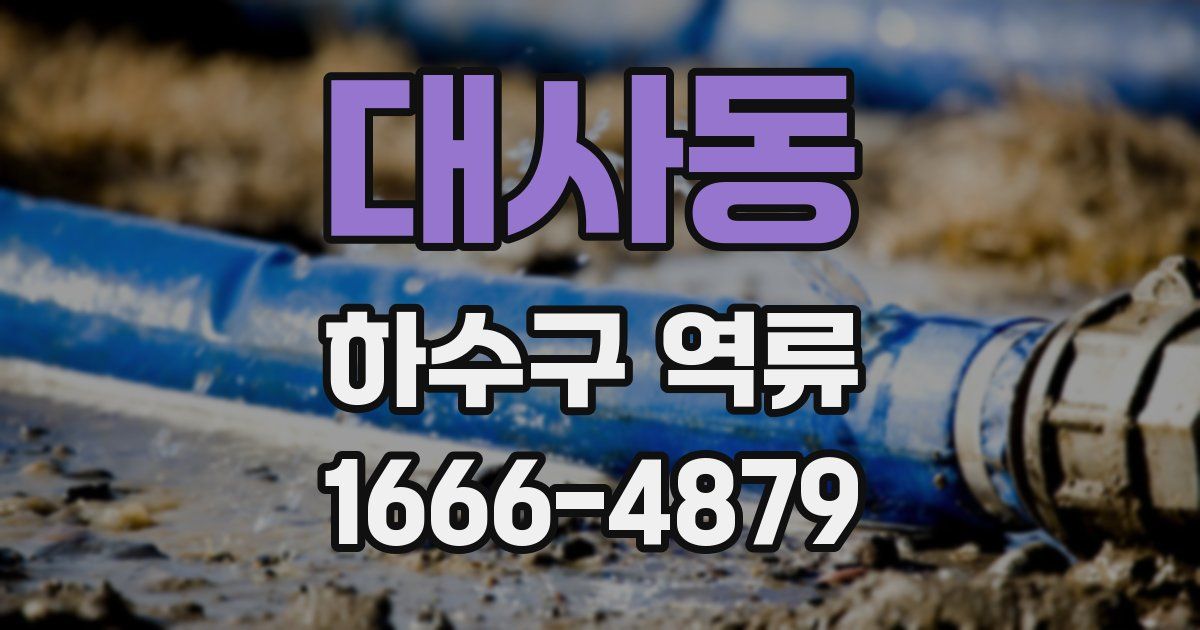대사동 하수구 역류