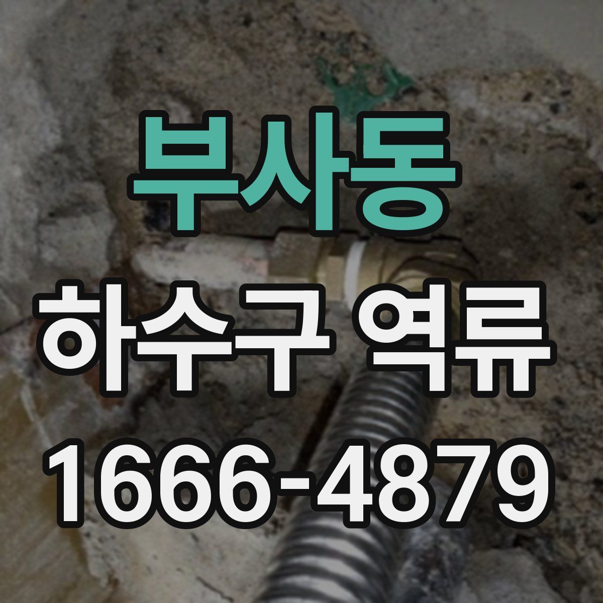 부사동 하수구 역류