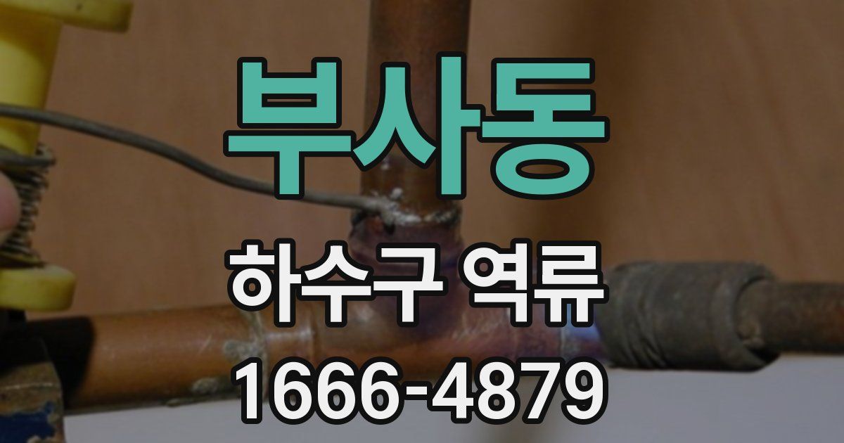 부사동 하수구 역류