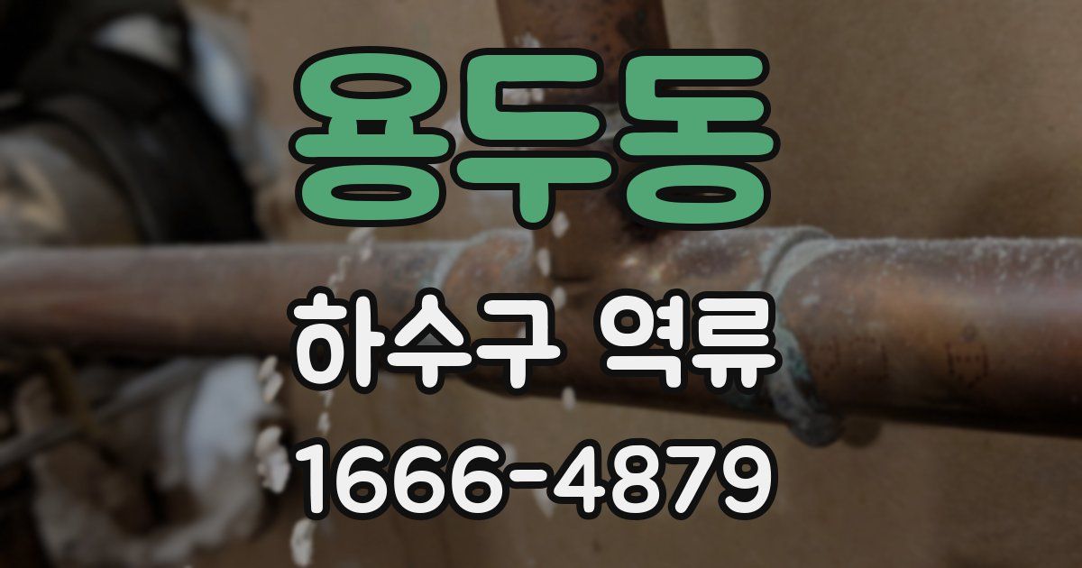 용두동 하수구 역류