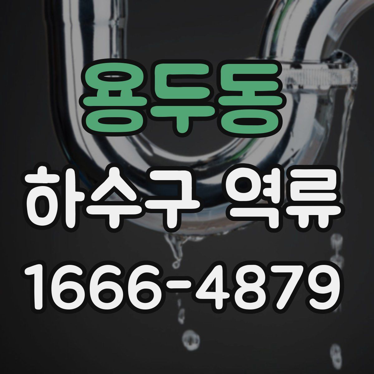 용두동 하수구 역류