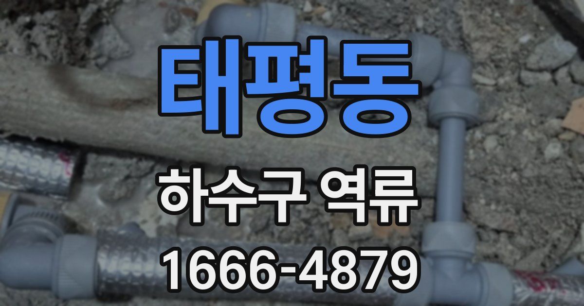 태평동 하수구 역류