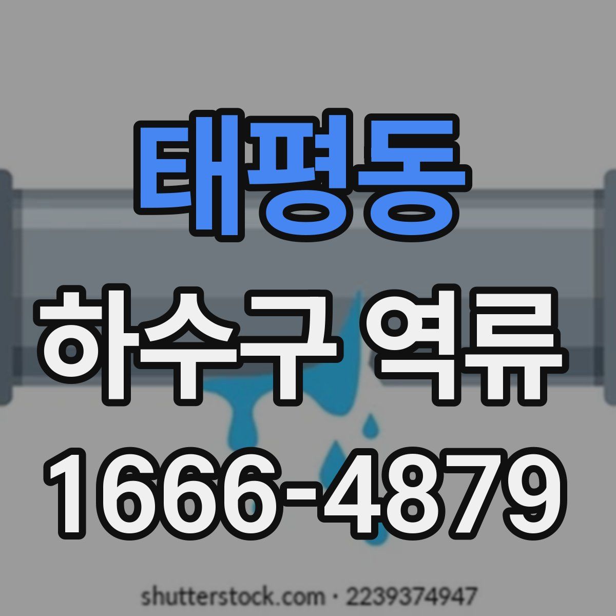 태평동 하수구 역류