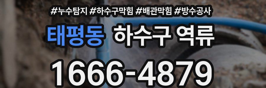 태평동 하수구 역류