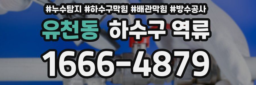 유천동 하수구 역류