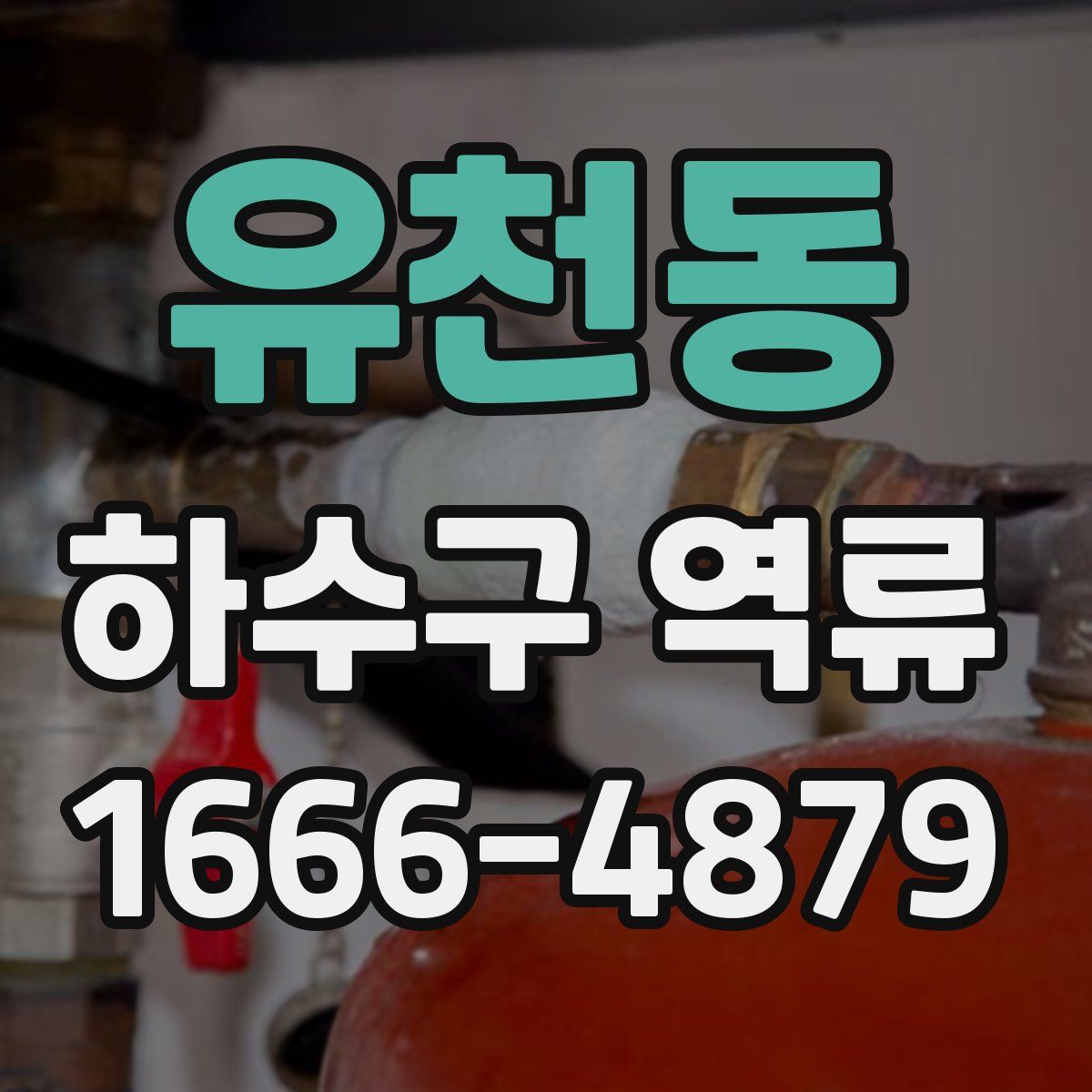 유천동 하수구 역류