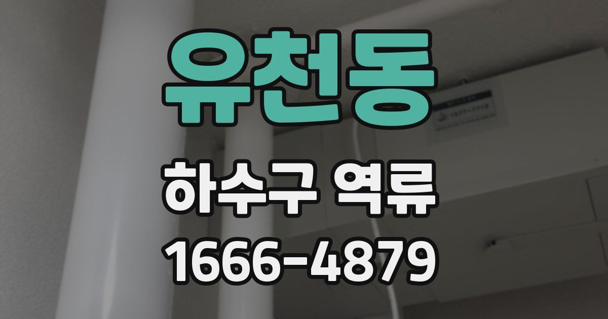 유천동 하수구 역류
