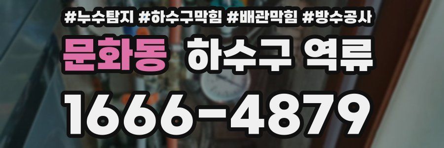 문화동 하수구 역류