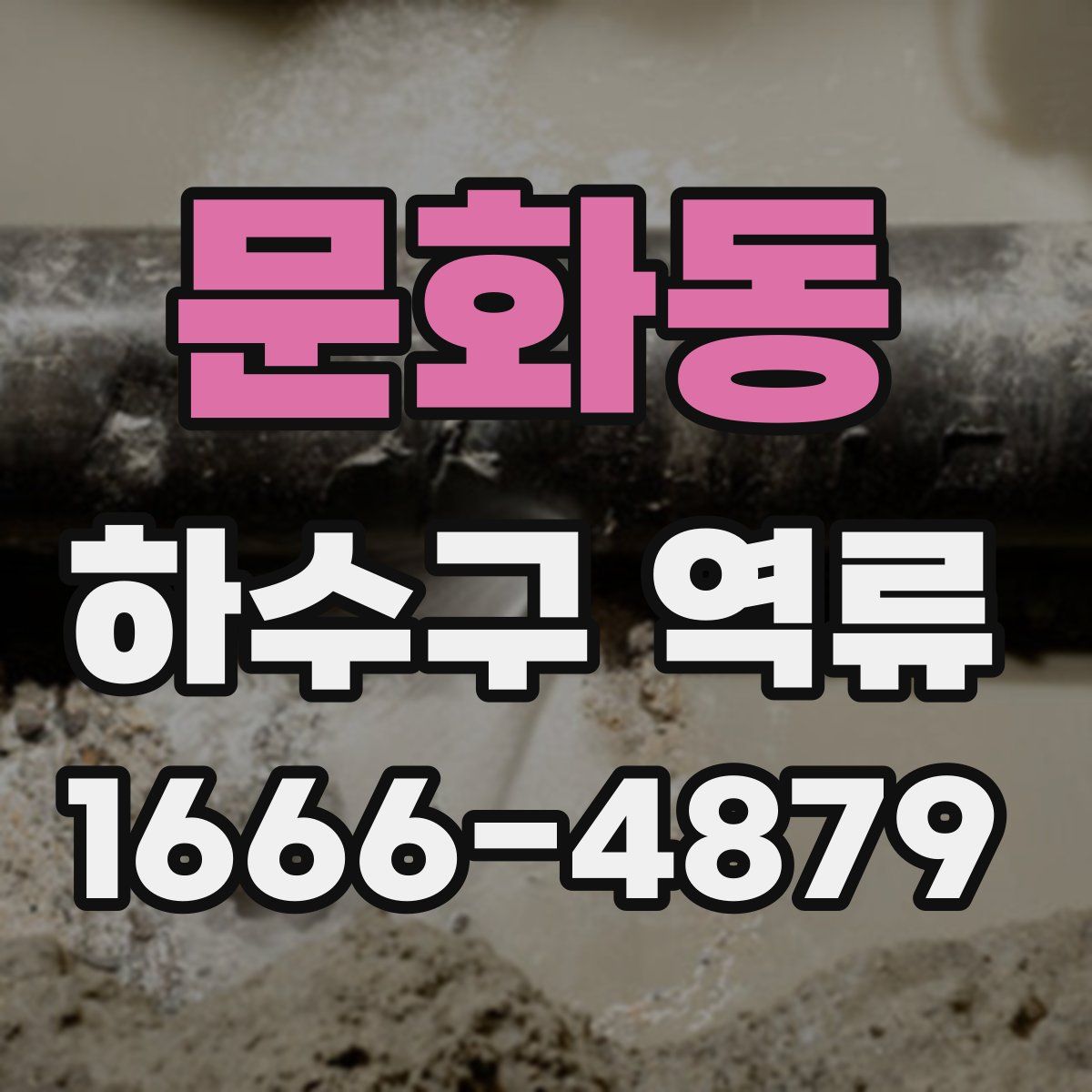 문화동 하수구 역류