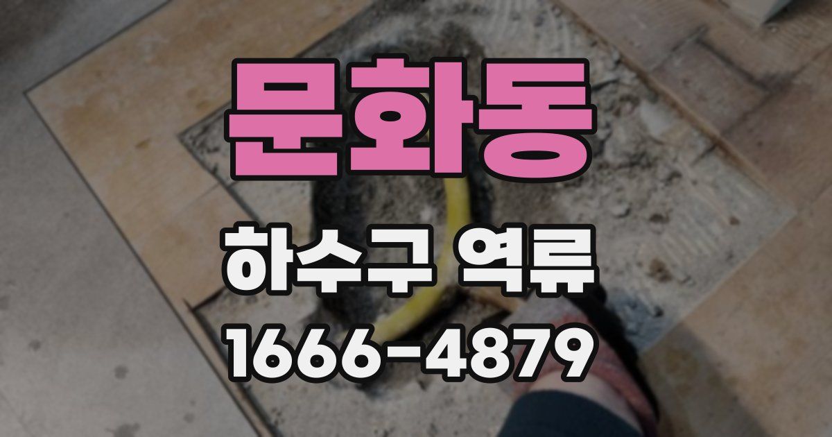 문화동 하수구 역류