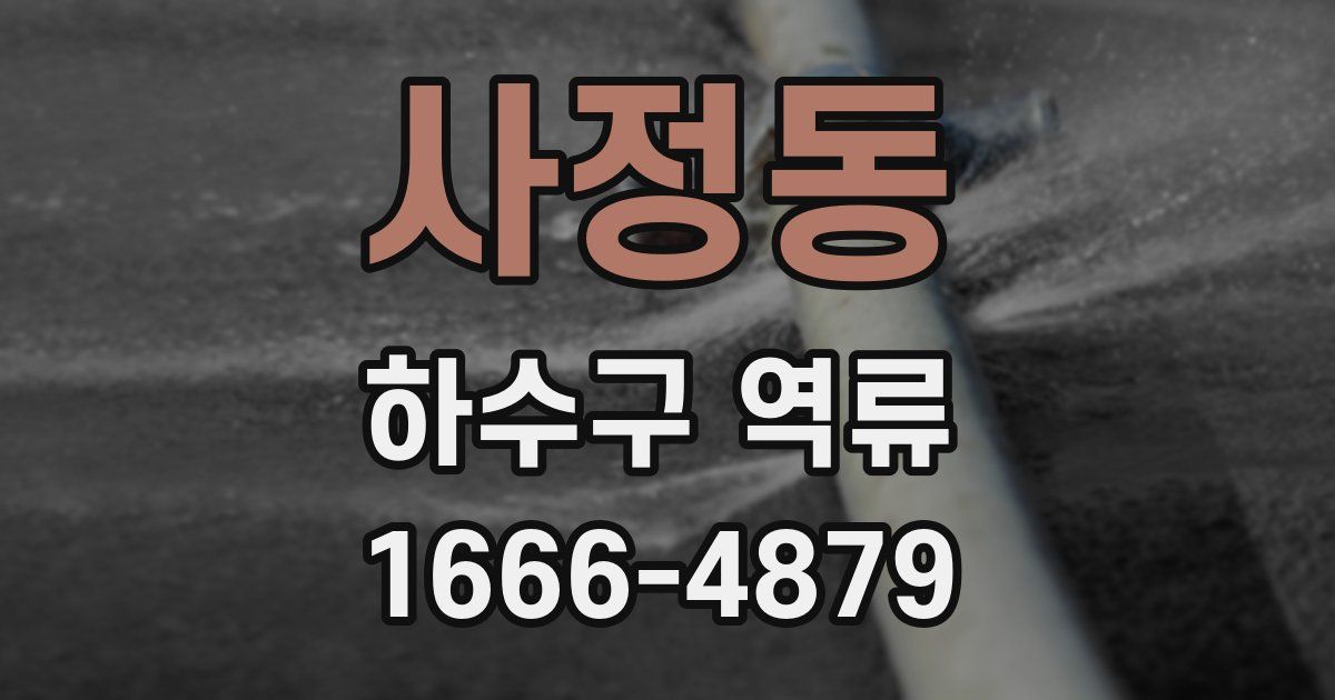 사정동 하수구 역류