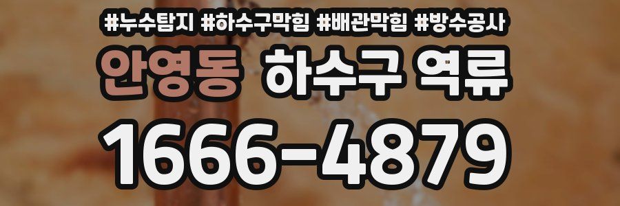 안영동 하수구 역류