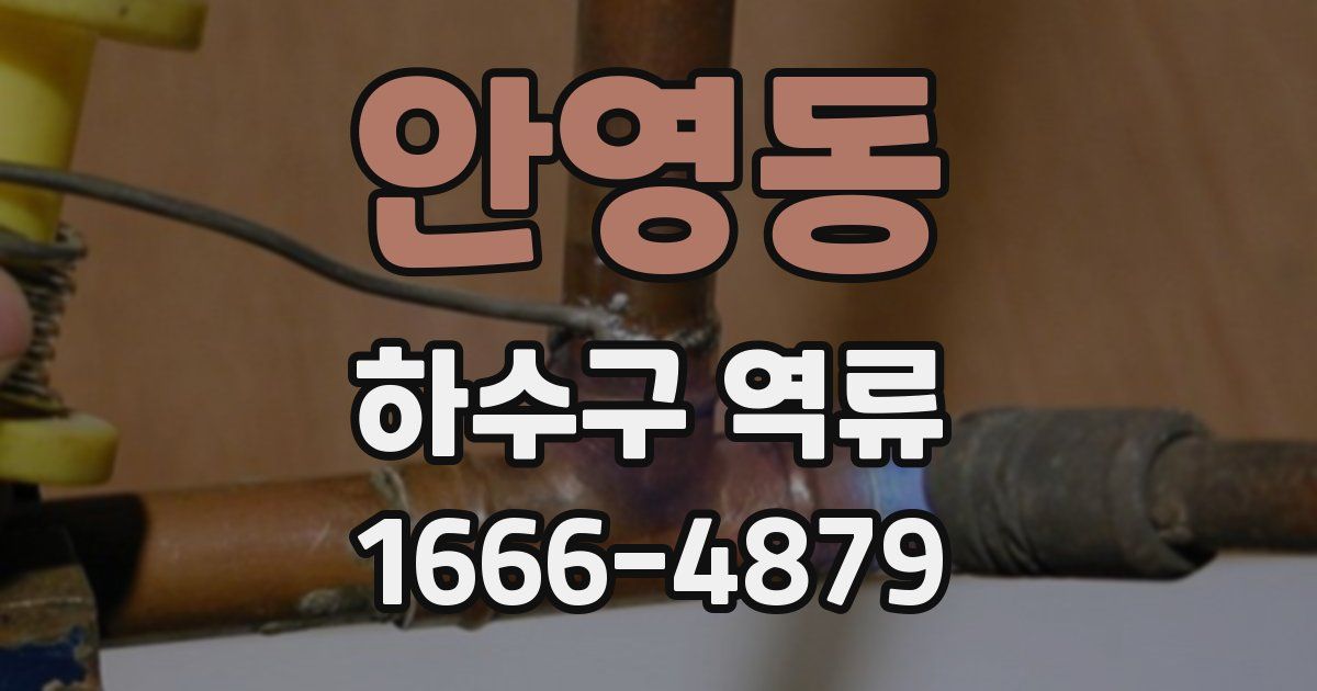 안영동 하수구 역류