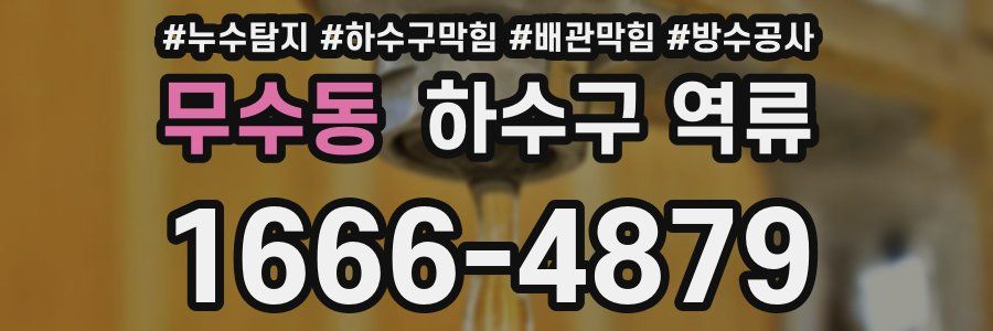무수동 하수구 역류