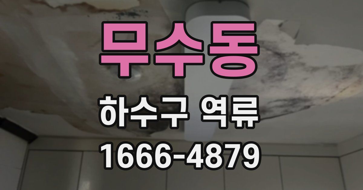 무수동 하수구 역류
