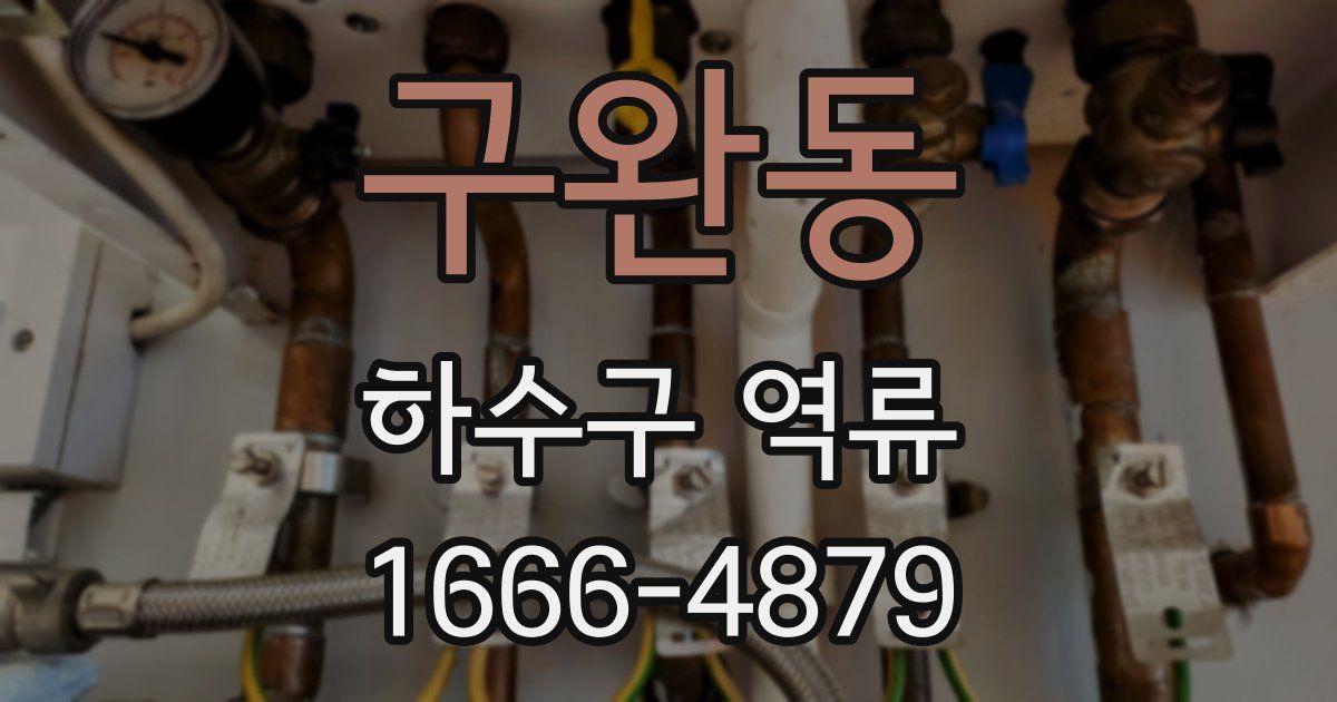 구완동 하수구 역류