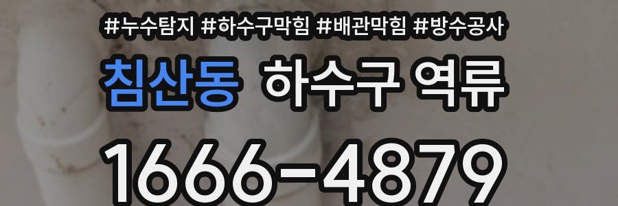 침산동 하수구 역류