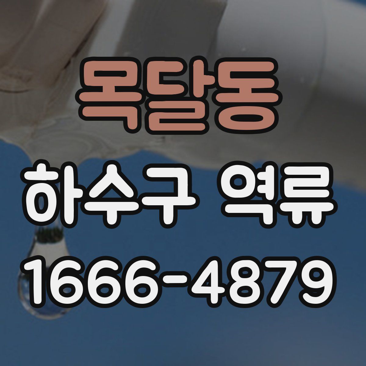 목달동 하수구 역류
