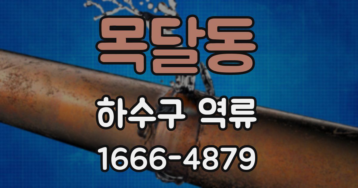 목달동 하수구 역류