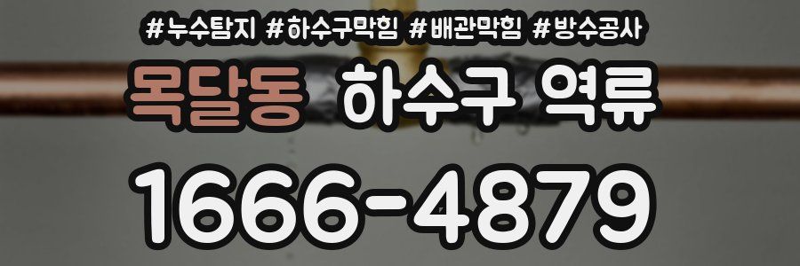 목달동 하수구 역류