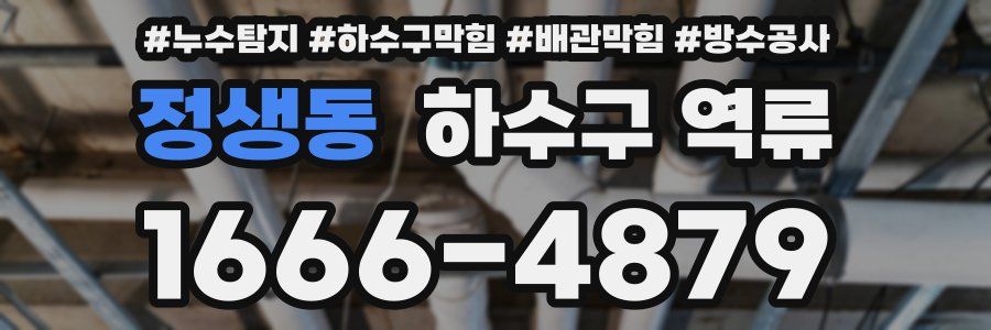정생동 하수구 역류