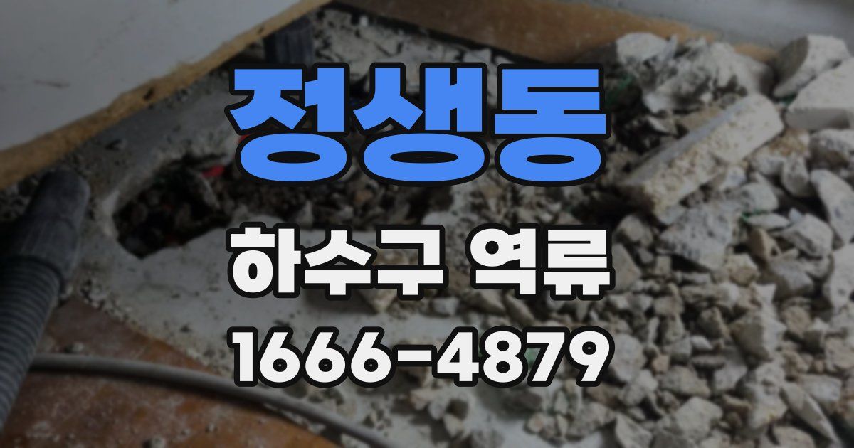 정생동 하수구 역류
