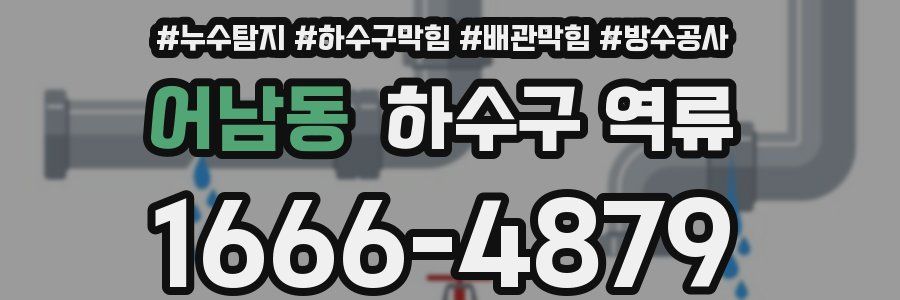 어남동 하수구 역류