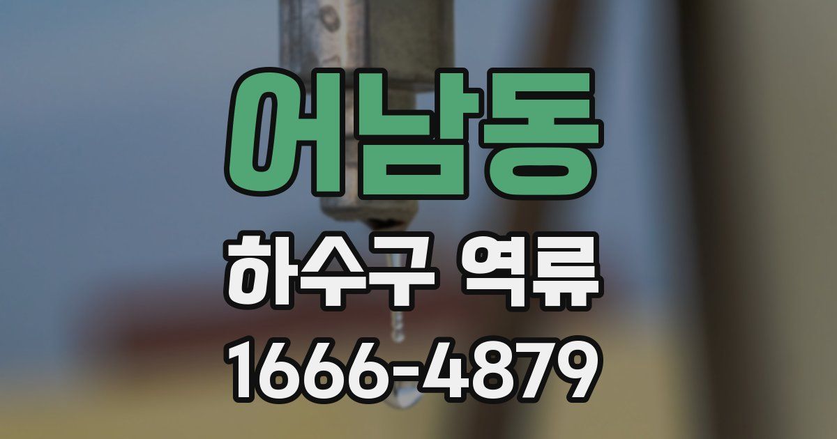 어남동 하수구 역류