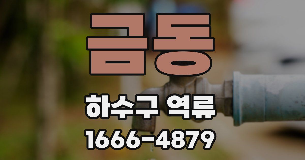 금동 하수구 역류