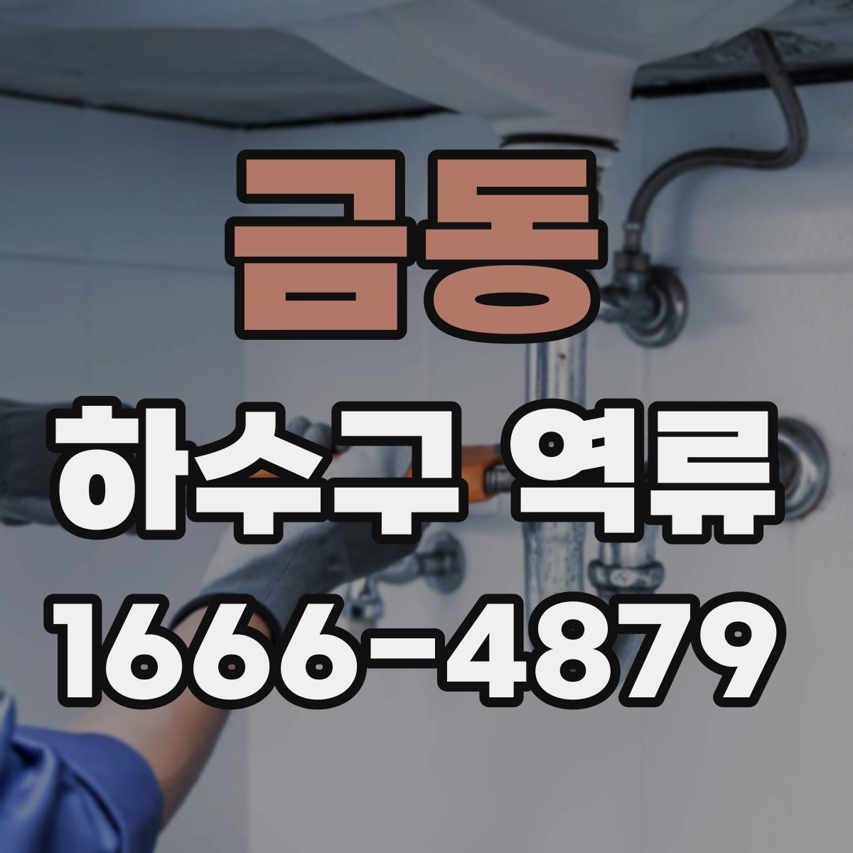 금동 하수구 역류