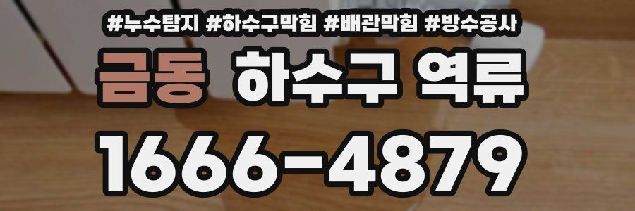 금동 하수구 역류