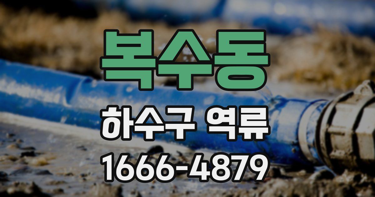 복수동 하수구 역류