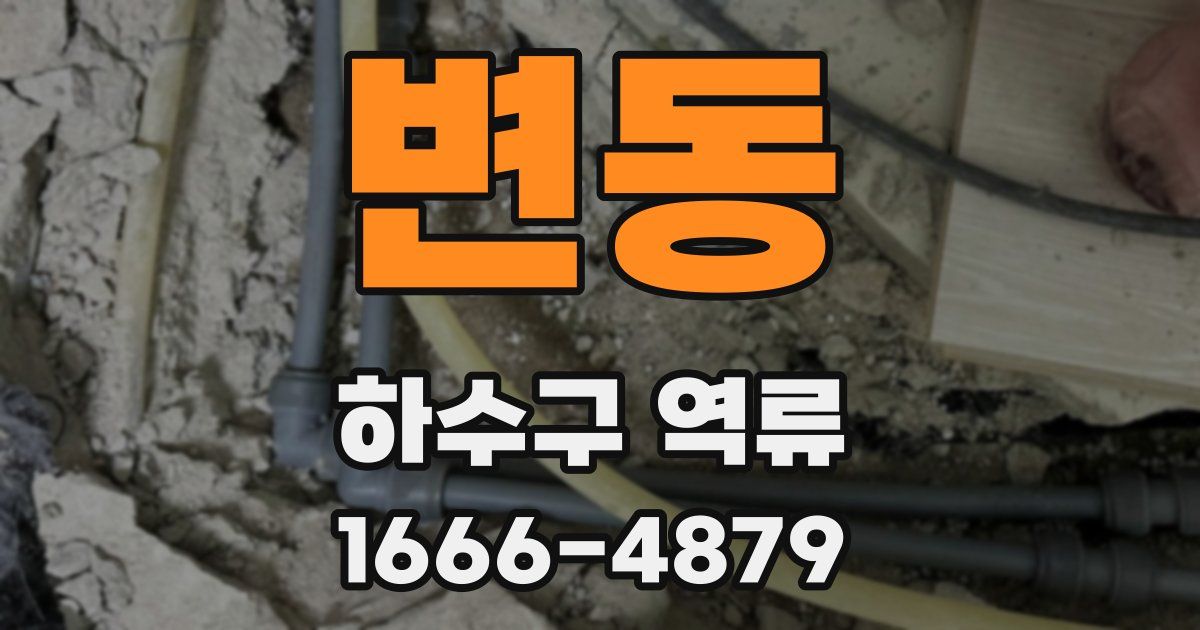 변동 하수구 역류